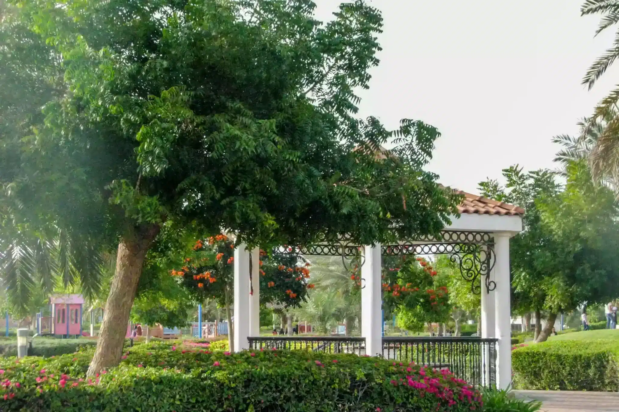 نافورة في أحد المتنزهات في أبوظبي.