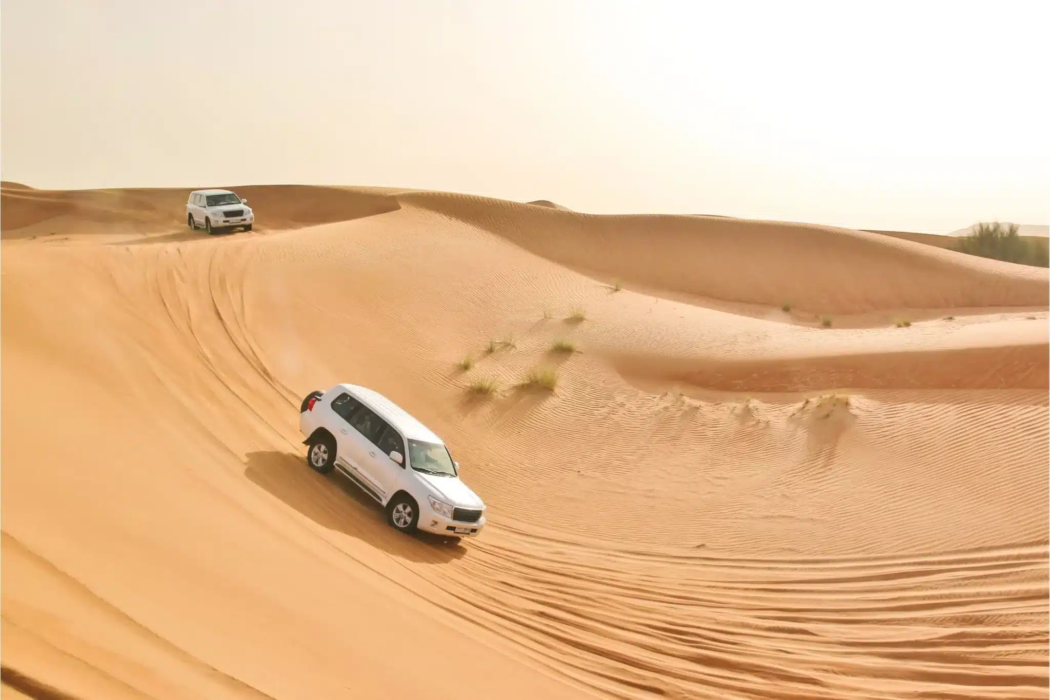 One of the most popular outdoor activities in Abu Dhabi is a 4x4 off-road desert adventure through the sand dunes.