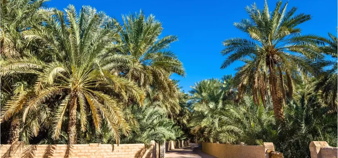 Oase Al Ain in Abu Dhabi