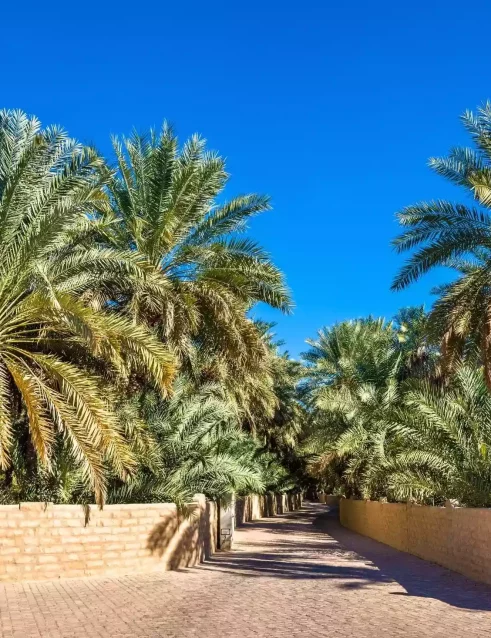 Oase Al Ain in Abu Dhabi