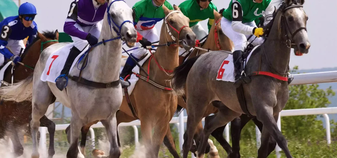 Horse Race at the Equastrian Club