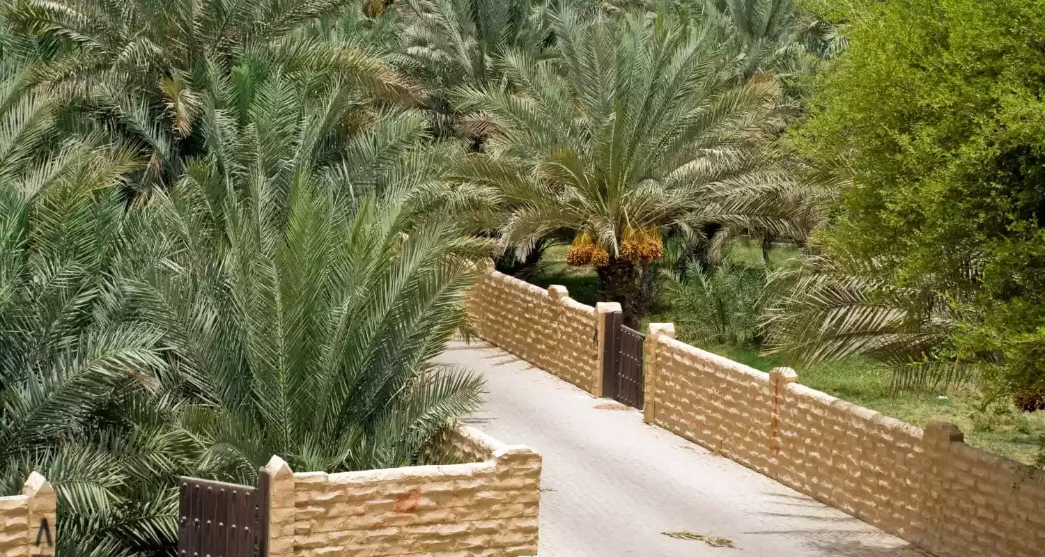 ممر واحة العين، الإمارات العربية المتحدة.