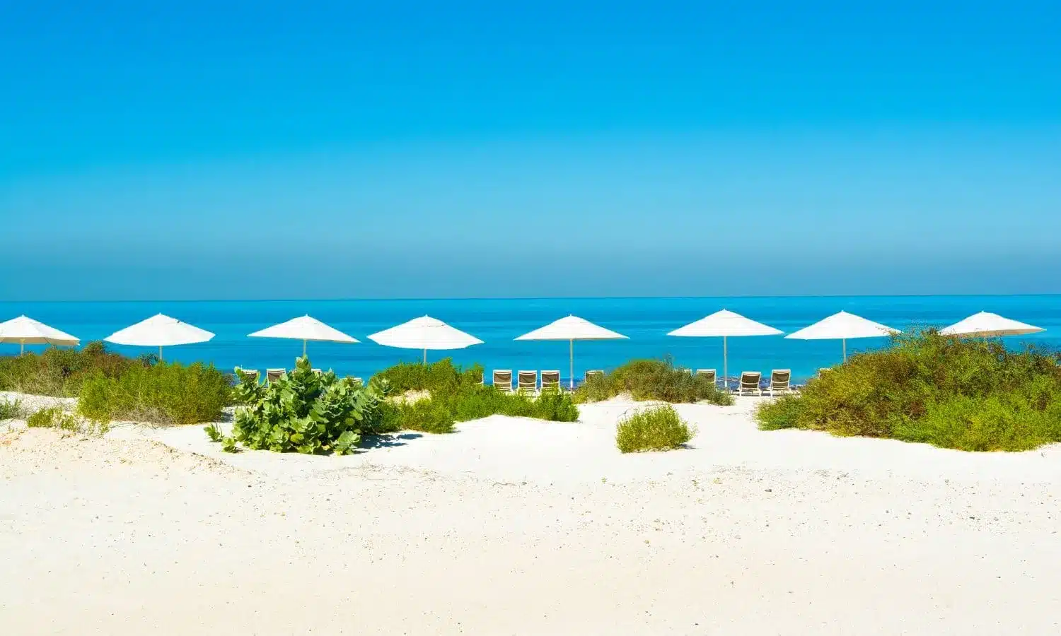 A beach in the Saadiyat Marine National Park.