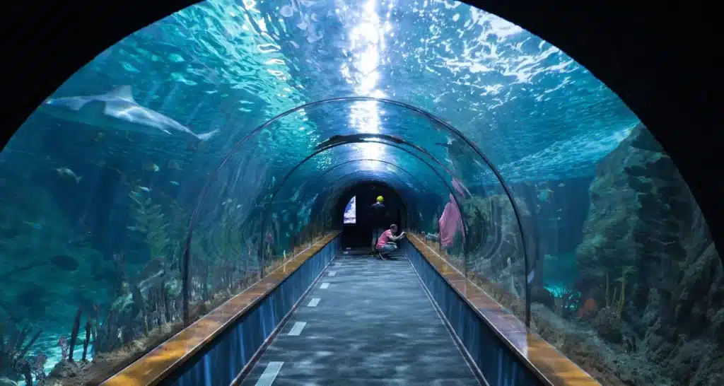 Das Abu Dhabi History Museum and Aquarium, eines der Museen in Abu Dhabi, das das kulturelle Erbe und die Meeresfauna präsentiert.