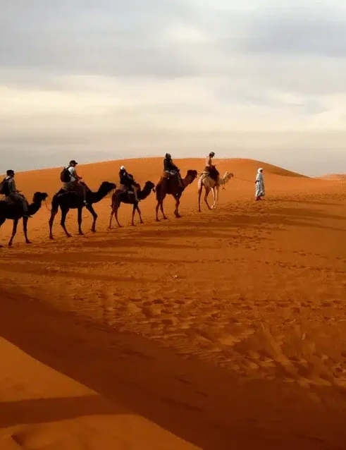 Eine Reihe von Menschen, die am Nachmittag auf einer Wüstensafari auf Kamelen reiten.