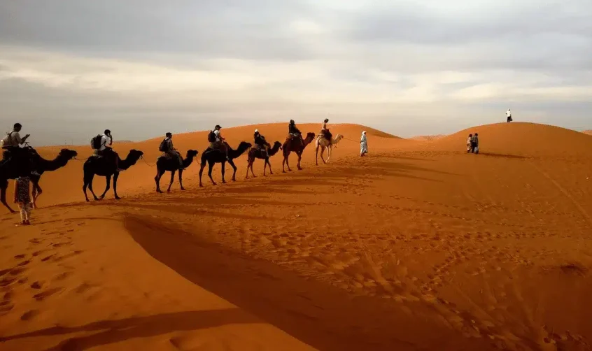 Eine Reihe von Menschen, die am Nachmittag auf einer Wüstensafari auf Kamelen reiten.