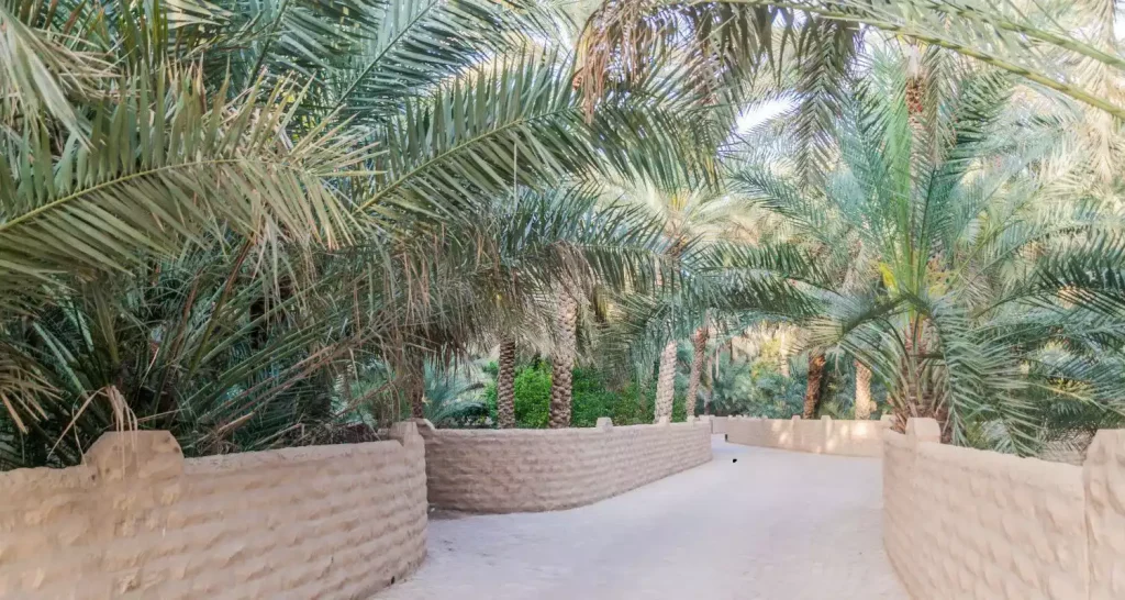 Wanderweg, umgeben von Palmen in der Oase Al Ain, Vereinigte Arabische Emirate